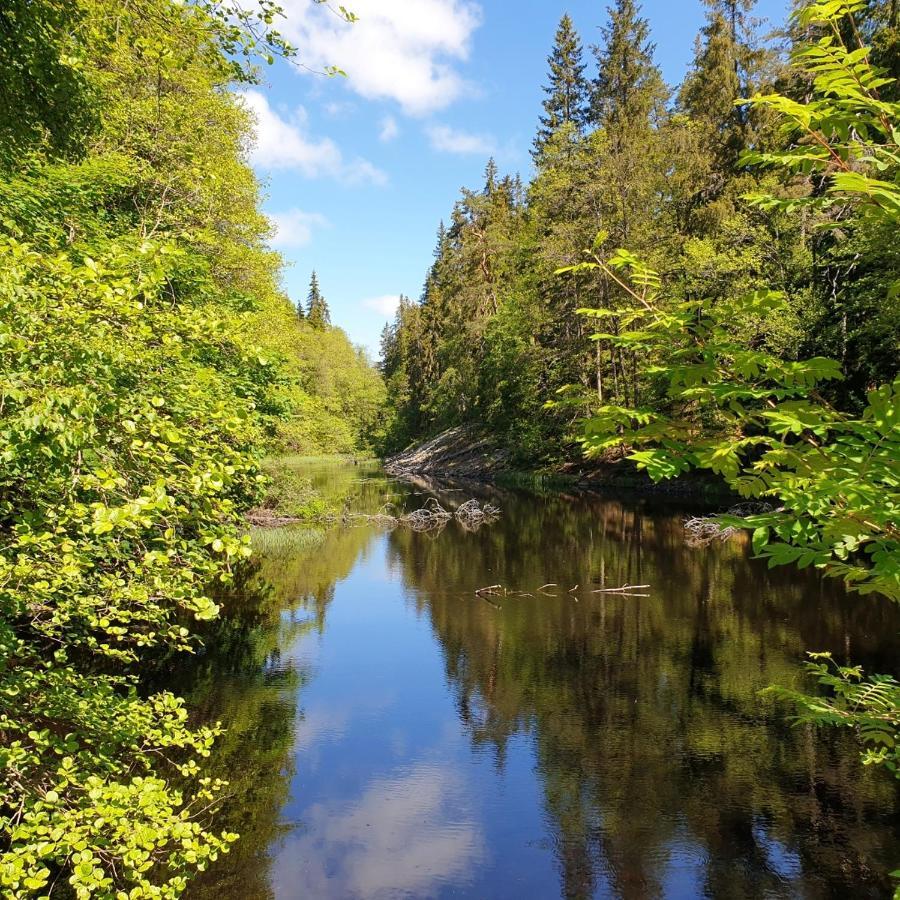 Cabin Near Lake And Beautiful Nature Reserve. Bodafors Eksteriør bilde