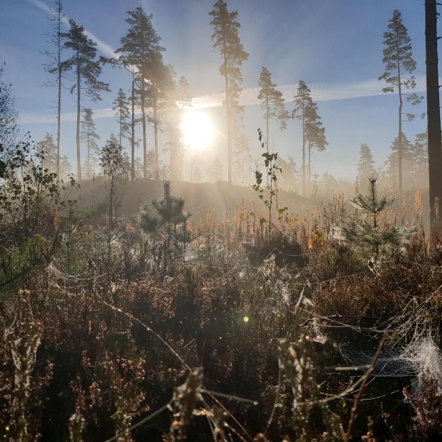 Cabin Near Lake And Beautiful Nature Reserve. Bodafors Eksteriør bilde