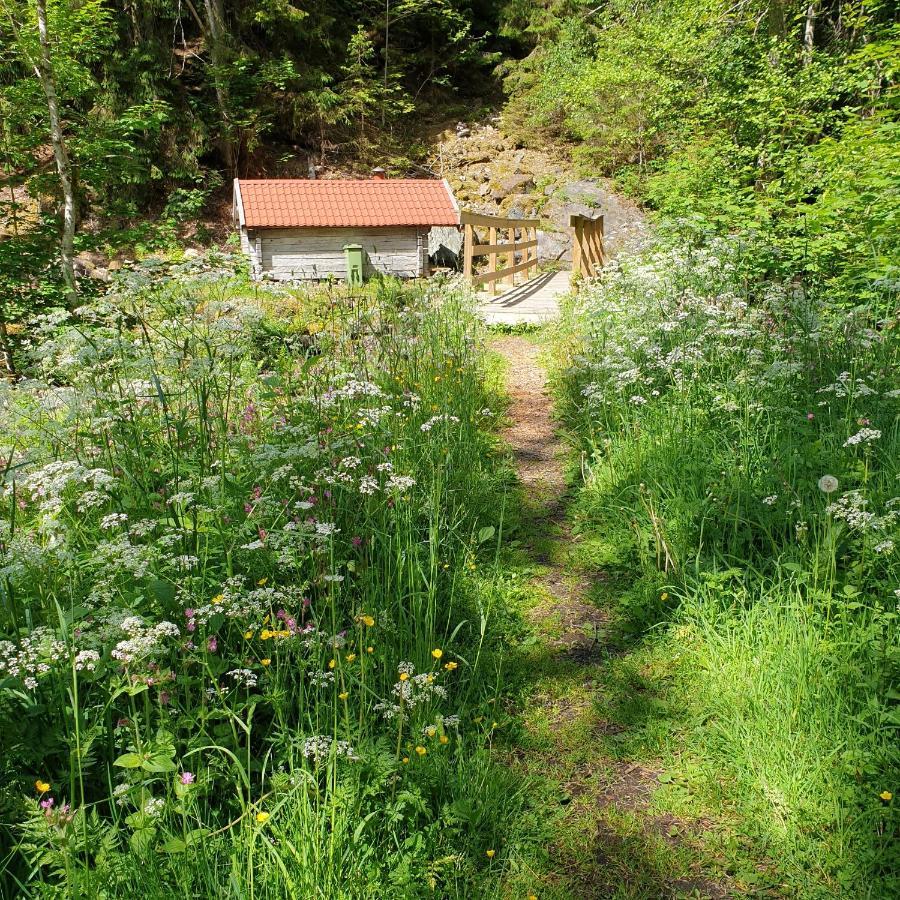 Cabin Near Lake And Beautiful Nature Reserve. Bodafors Eksteriør bilde